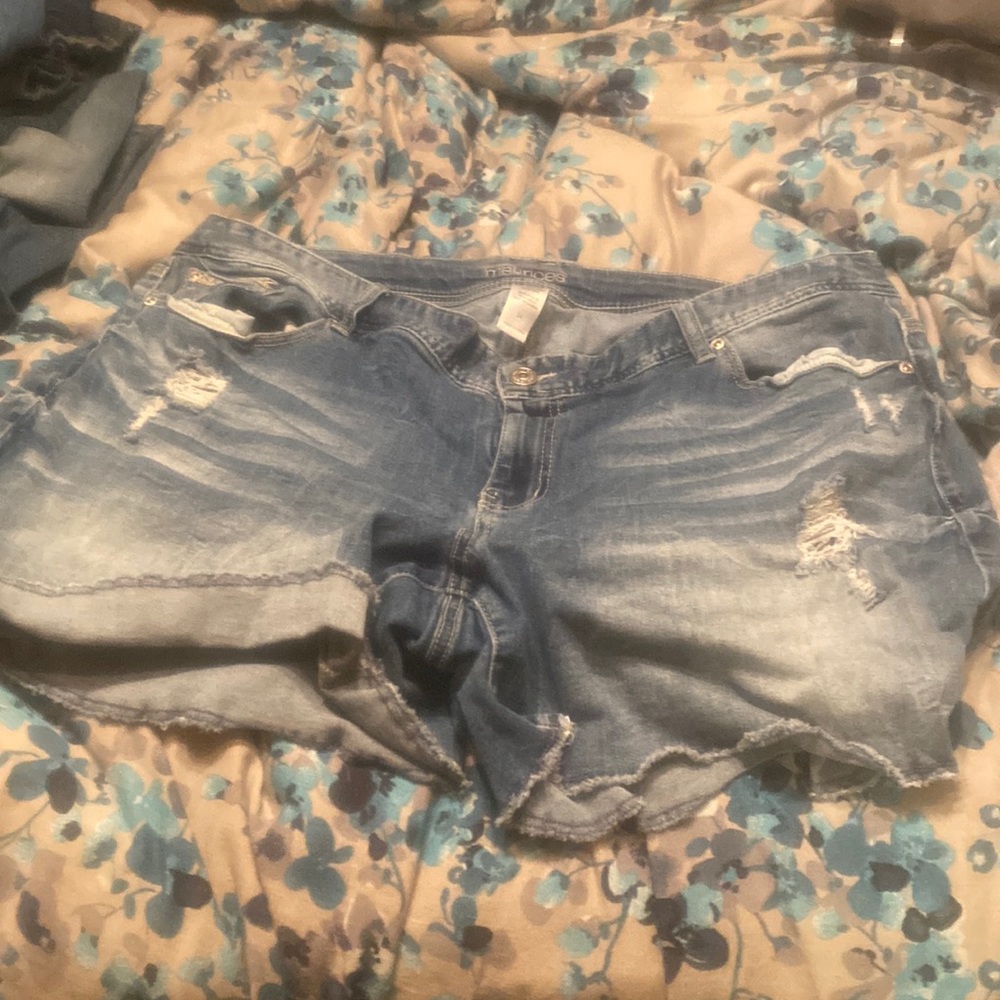 Maurices size 24 shorts